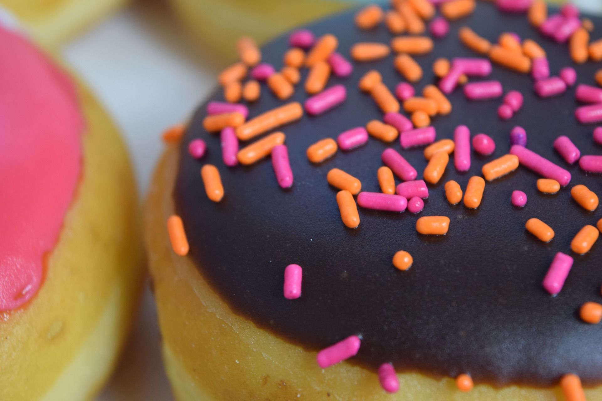 donut